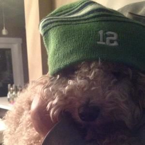 Meet your Posher, Kelli